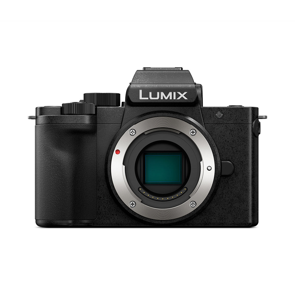Panasonic Mirrorless Camera